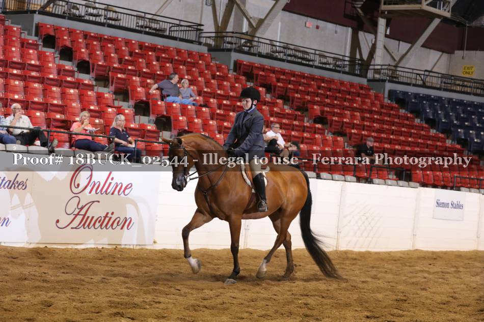 Proof 18BUCK_02544