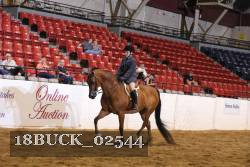18BUCK_02544 proof