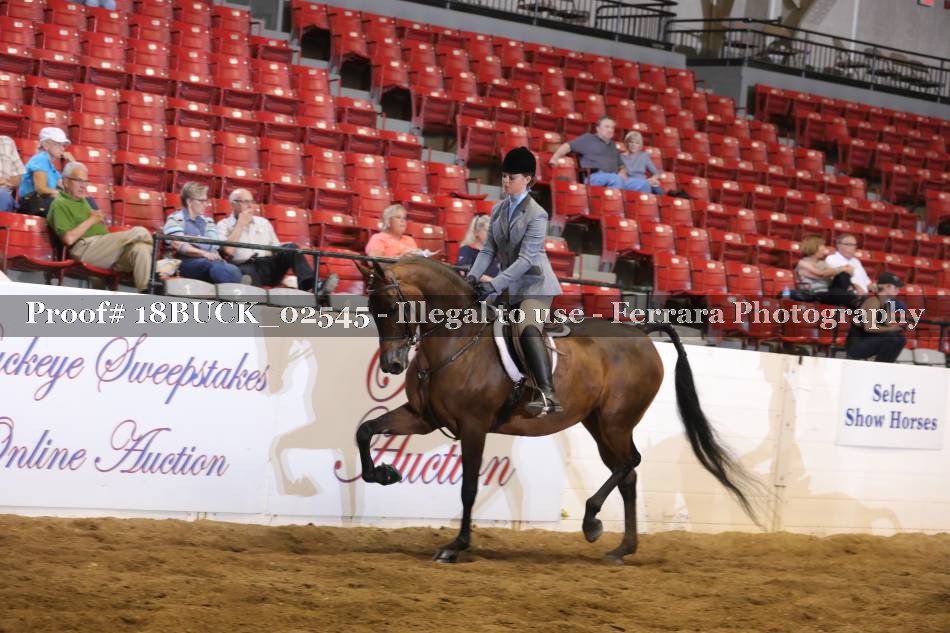 Proof 18BUCK_02545