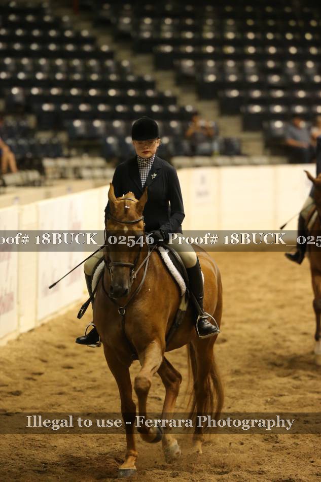 Proof 18BUCK_02546