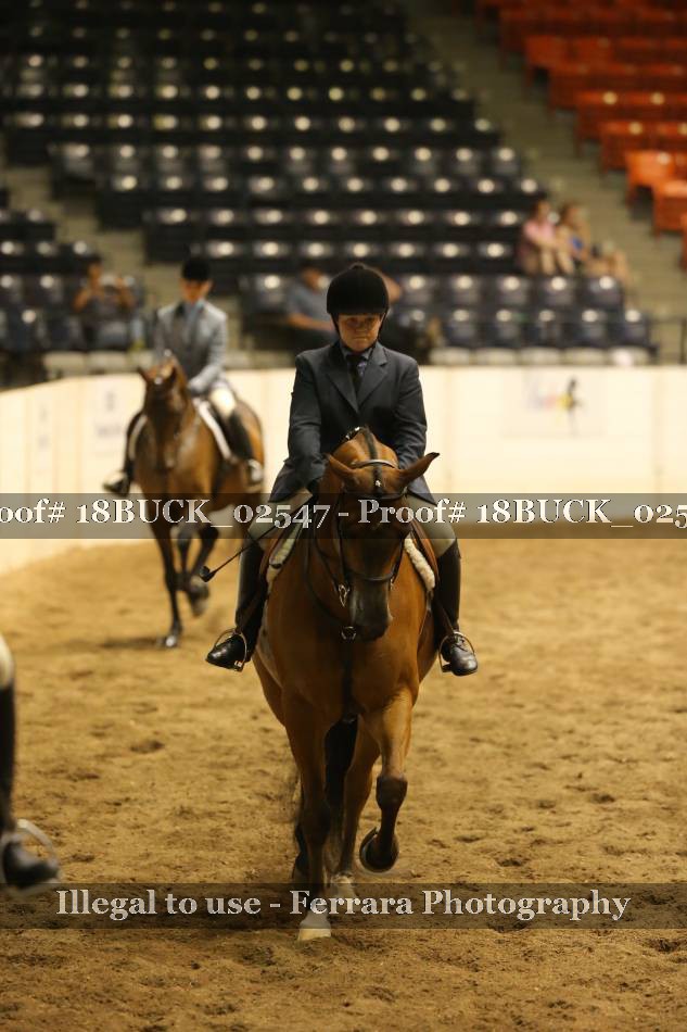 Proof 18BUCK_02547