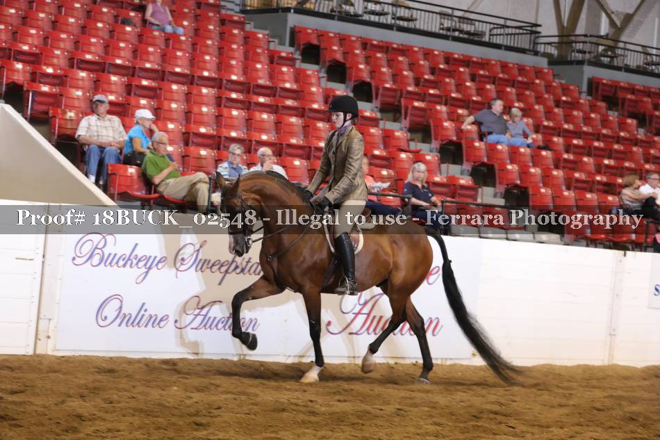 Proof 18BUCK_02548