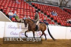 18BUCK_02548 proof