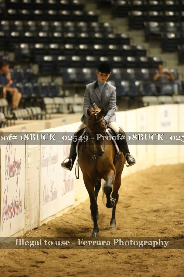 Proof 18BUCK_02549