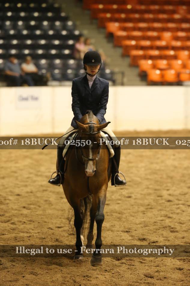 Proof 18BUCK_02550