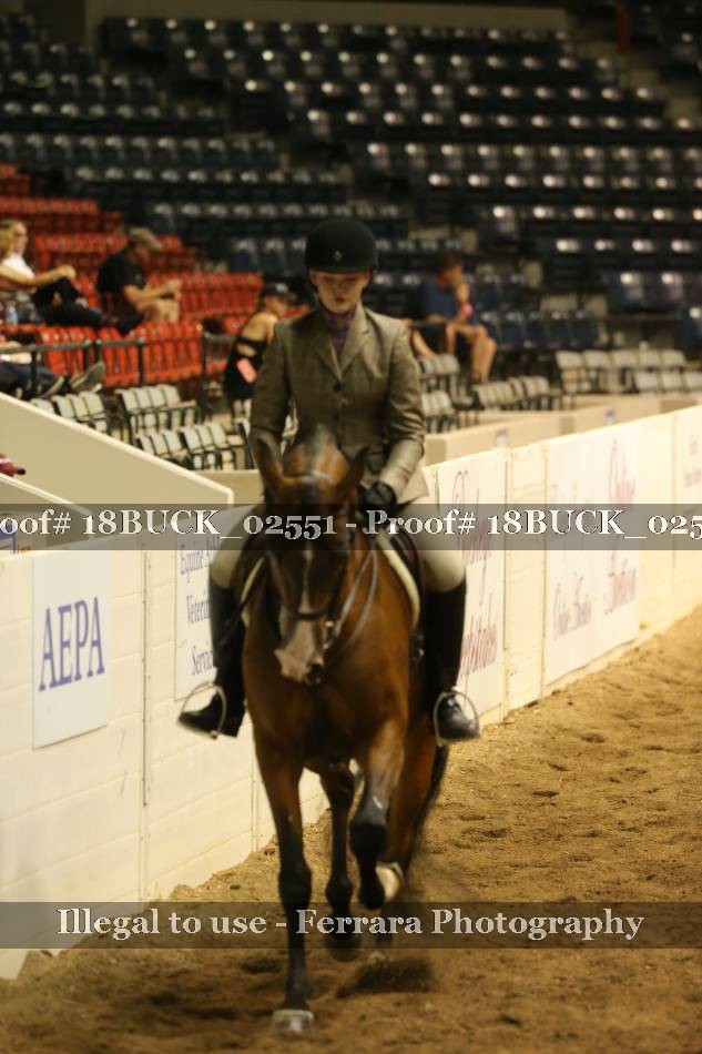 Proof 18BUCK_02551