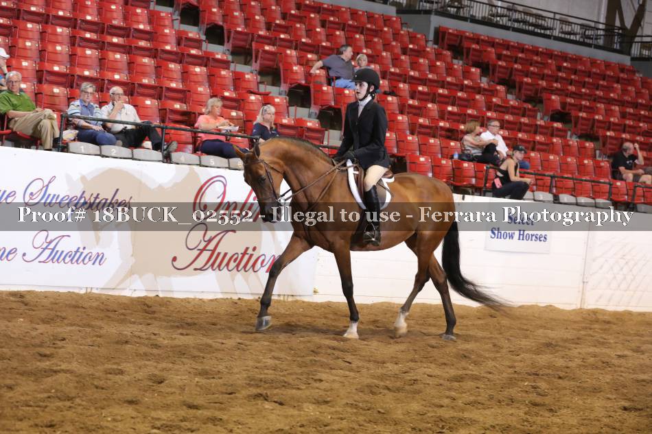 Proof 18BUCK_02552