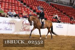 18BUCK_02552 proof