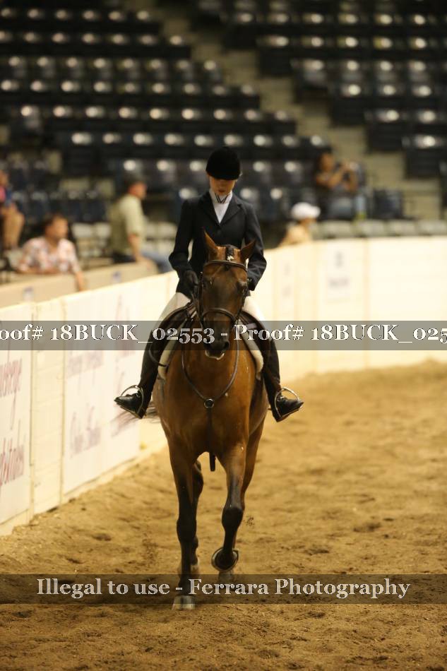 Proof 18BUCK_02553