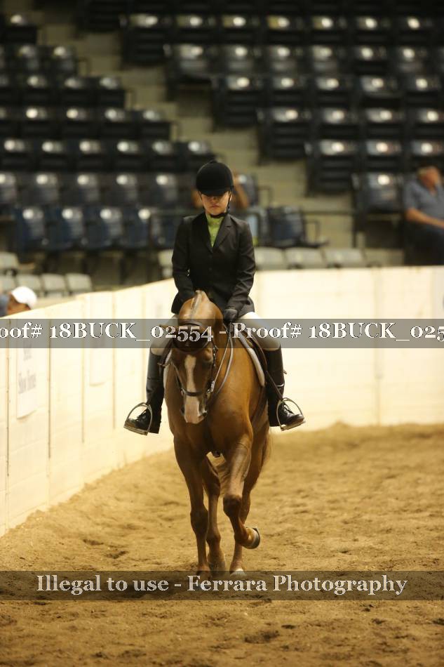 Proof 18BUCK_02554