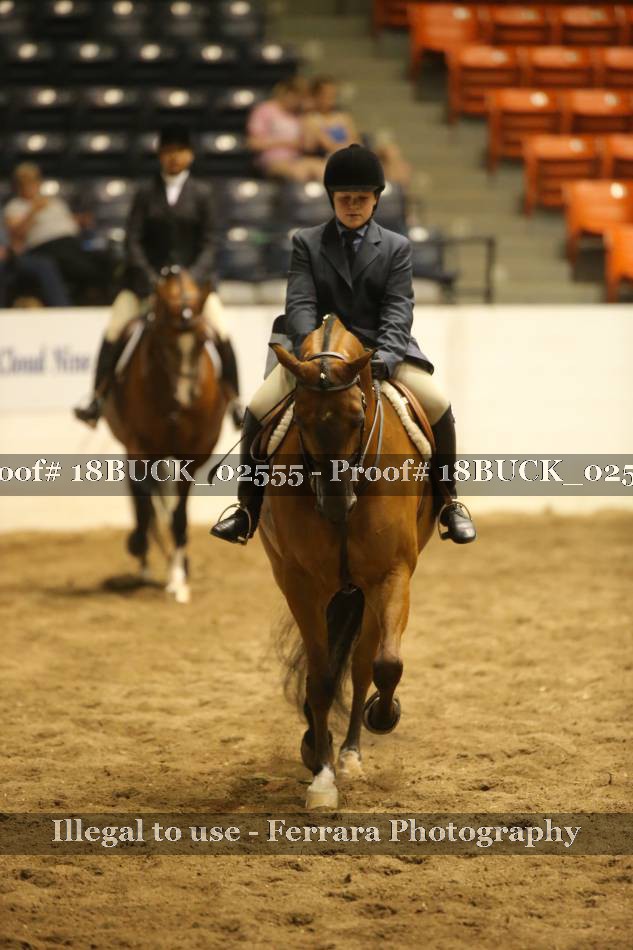 Proof 18BUCK_02555