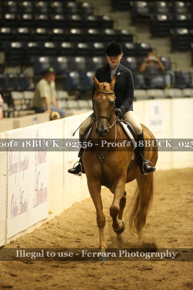 Proof 18BUCK_02556