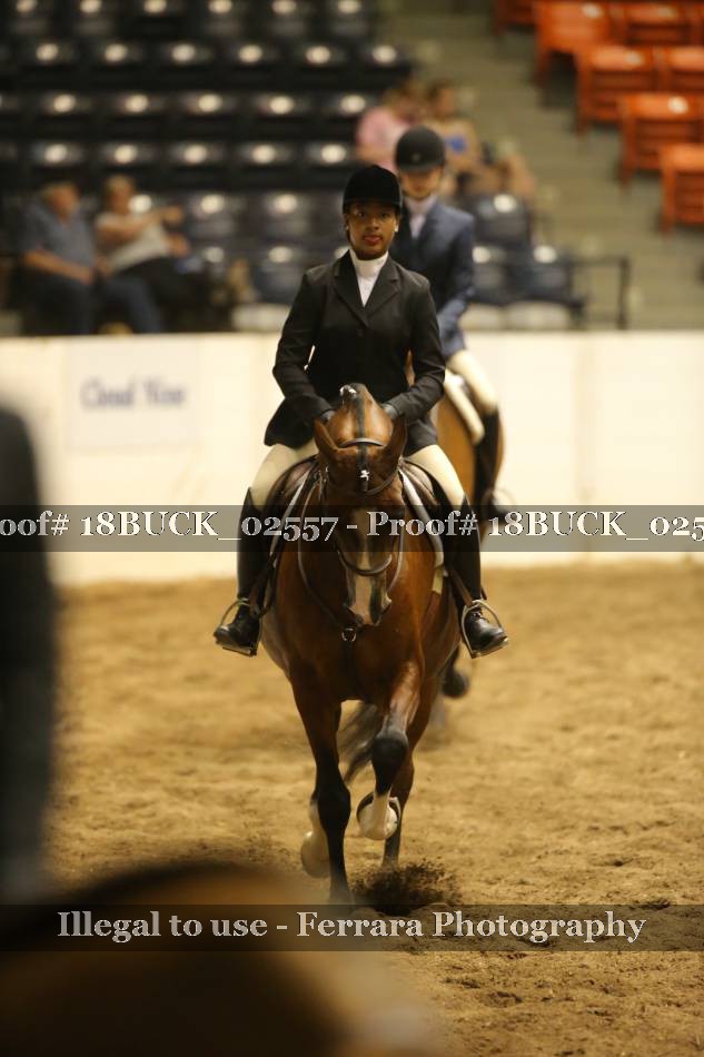 Proof 18BUCK_02557