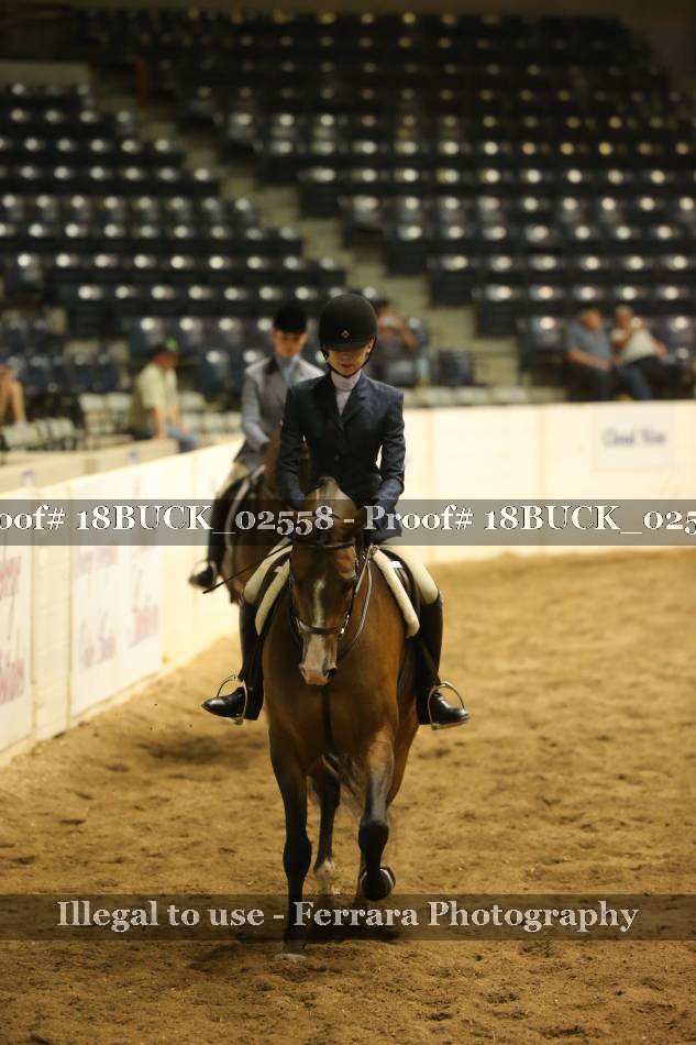 Proof 18BUCK_02558