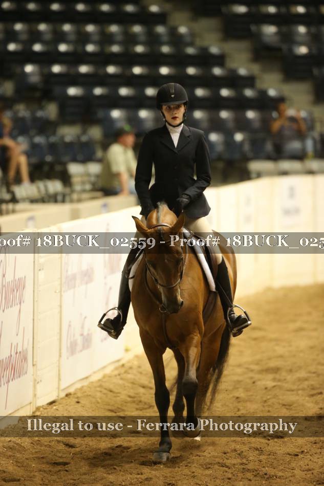 Proof 18BUCK_02559