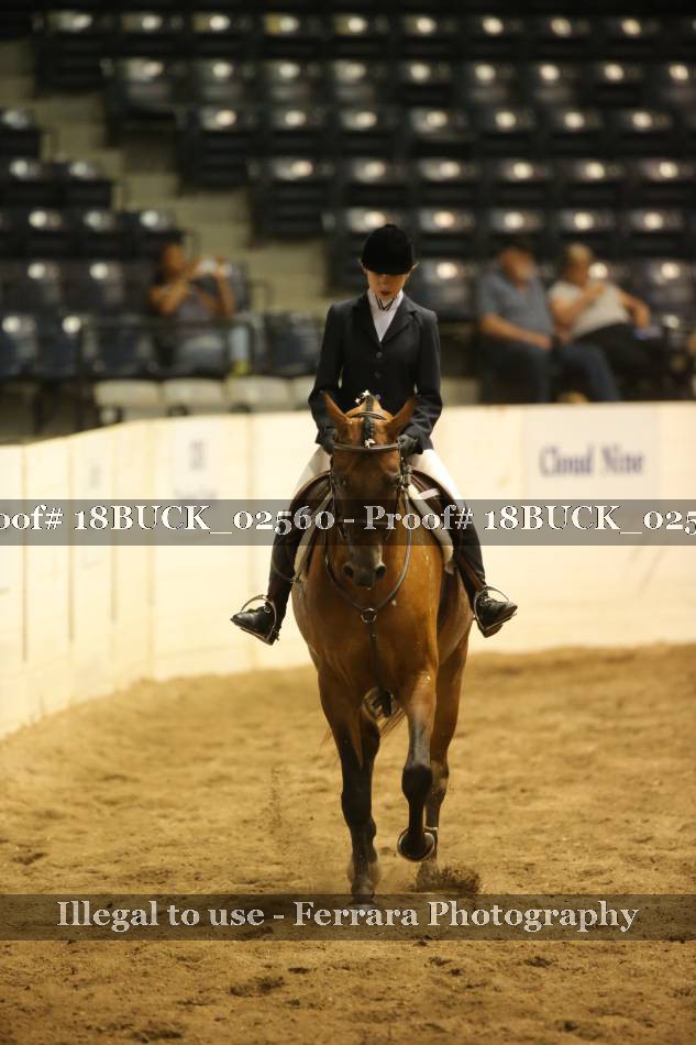 Proof 18BUCK_02560