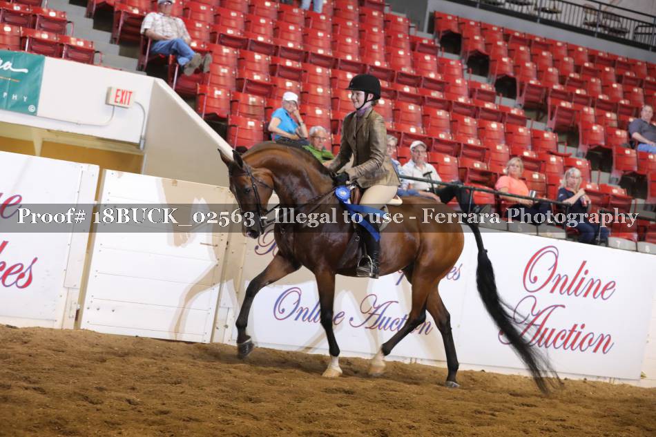 Proof 18BUCK_02563