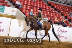 18BUCK_02563 proof