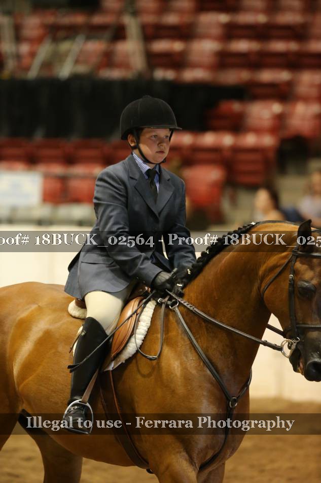 Proof 18BUCK_02564