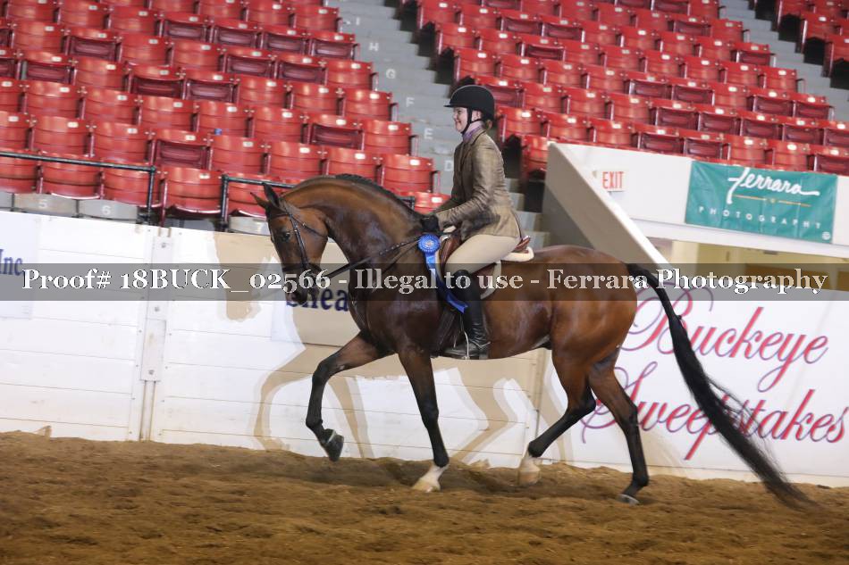 Proof 18BUCK_02566