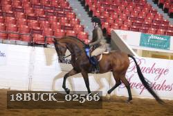 18BUCK_02566 proof