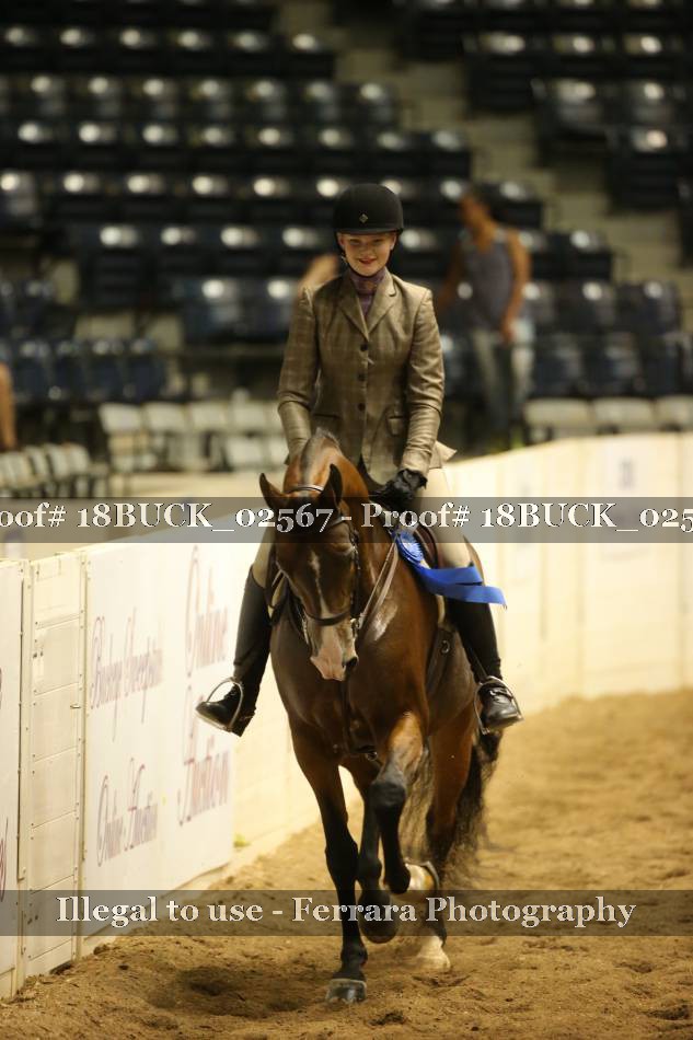 Proof 18BUCK_02567