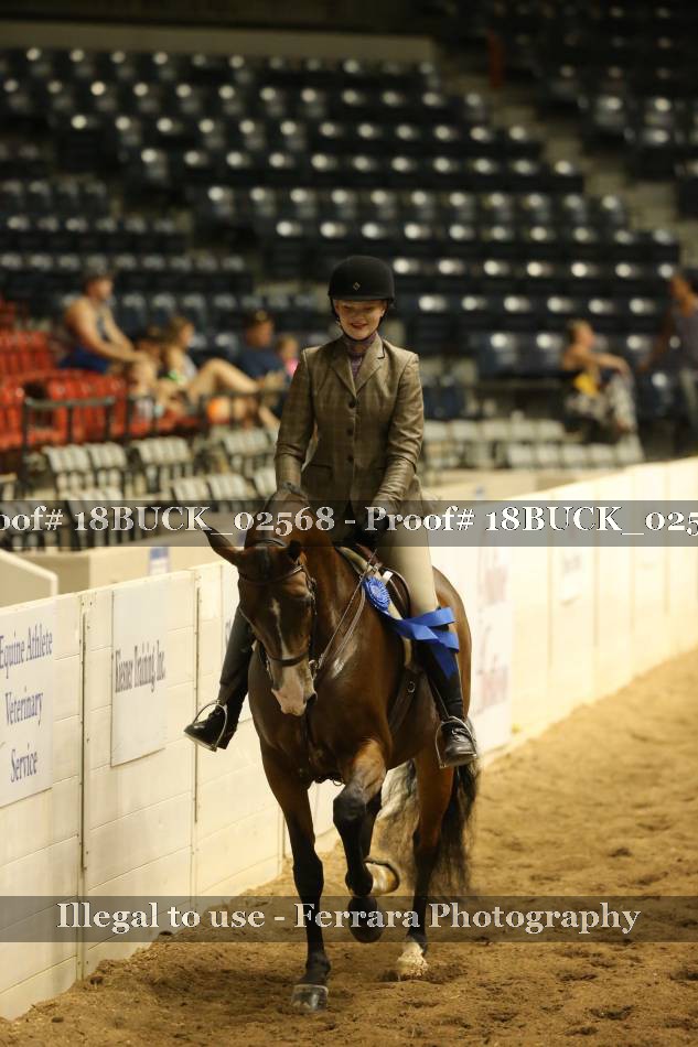 Proof 18BUCK_02568