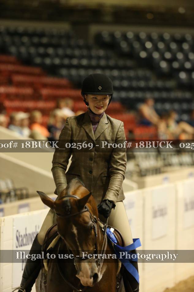 Proof 18BUCK_02569