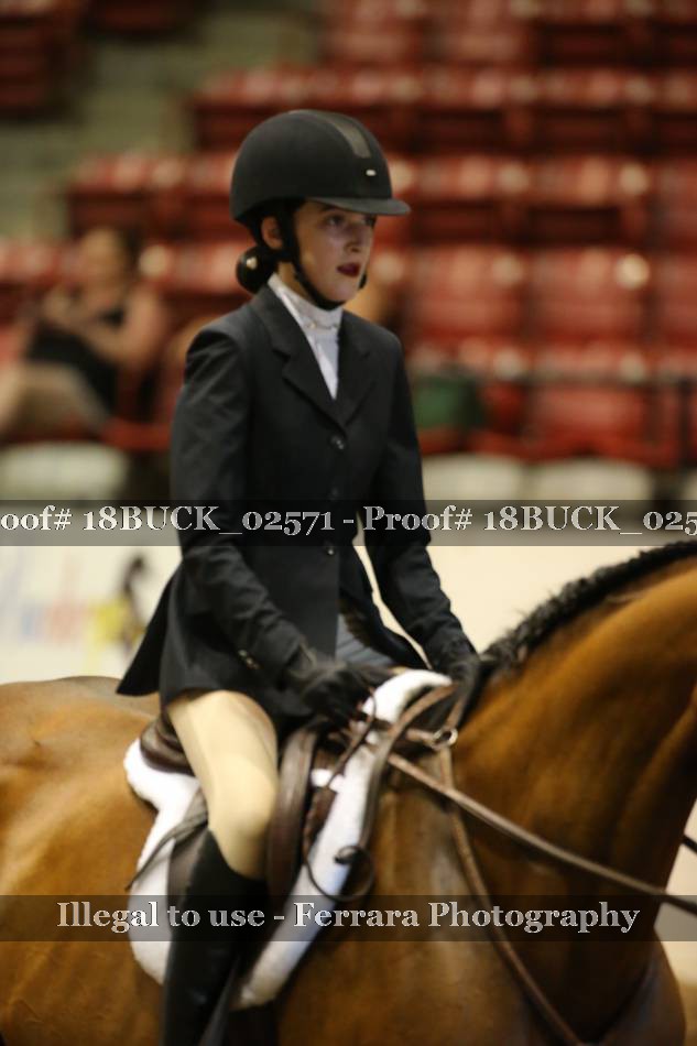 Proof 18BUCK_02571