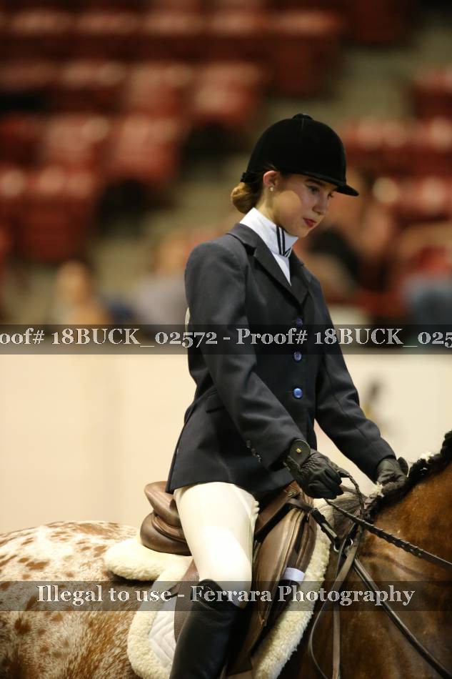 Proof 18BUCK_02572