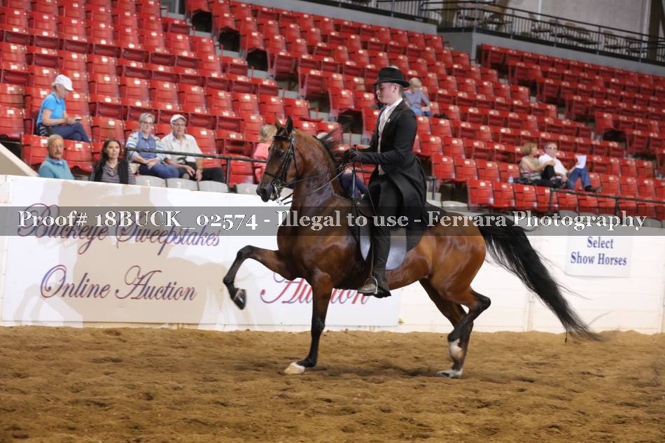 Proof 18BUCK_02574