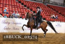 18BUCK_02574 proof