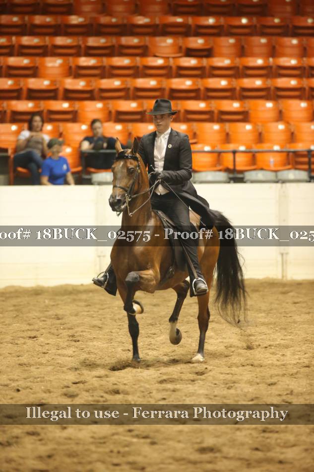 Proof 18BUCK_02575