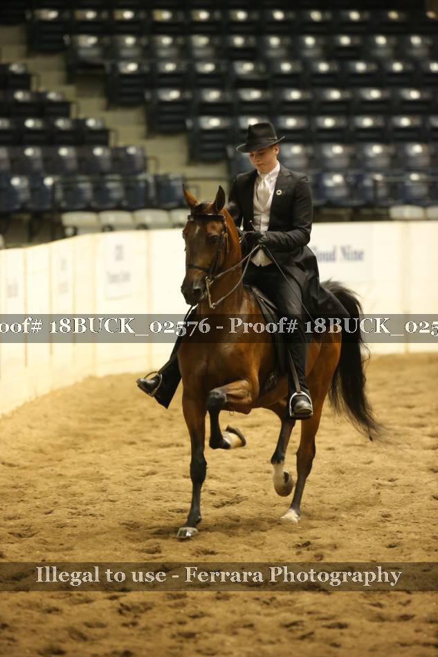 Proof 18BUCK_02576
