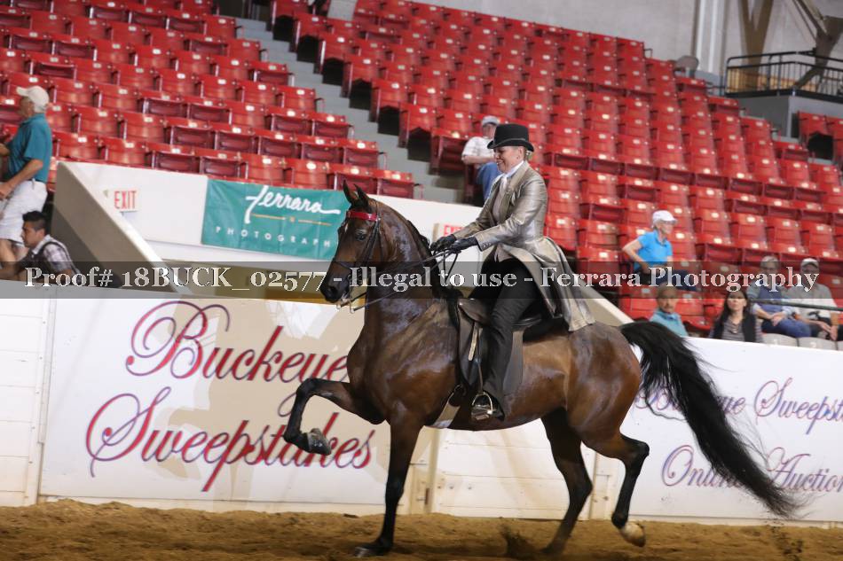 Proof 18BUCK_02577