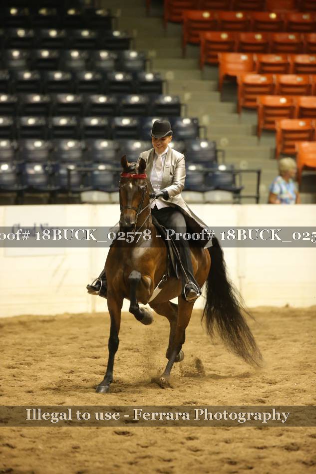 Proof 18BUCK_02578