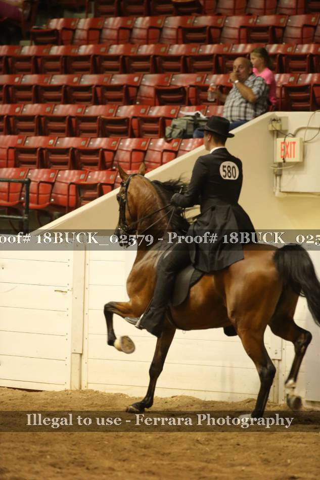 Proof 18BUCK_02579