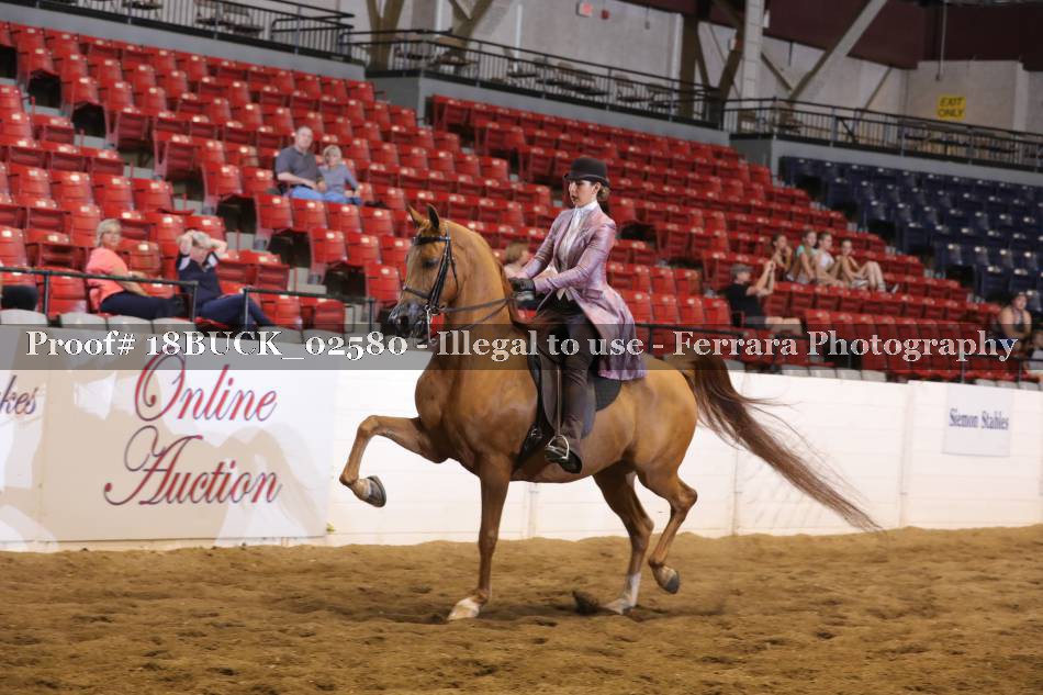 Proof 18BUCK_02580