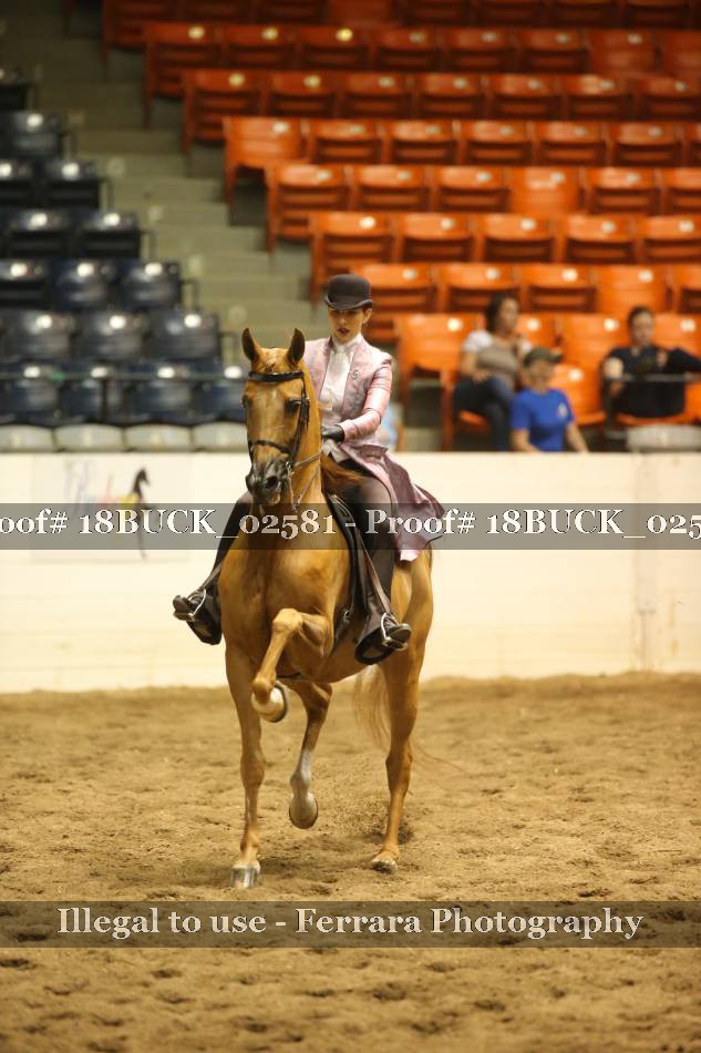 Proof 18BUCK_02581