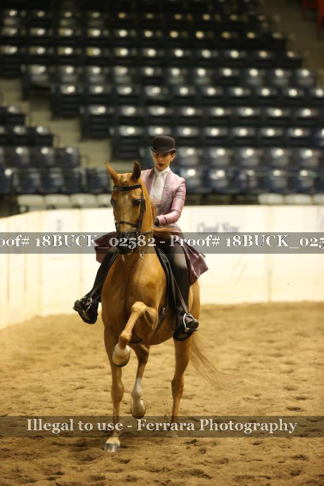 Proof 18BUCK_02582