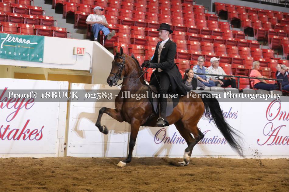Proof 18BUCK_02583