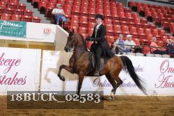 18BUCK_02583 proof