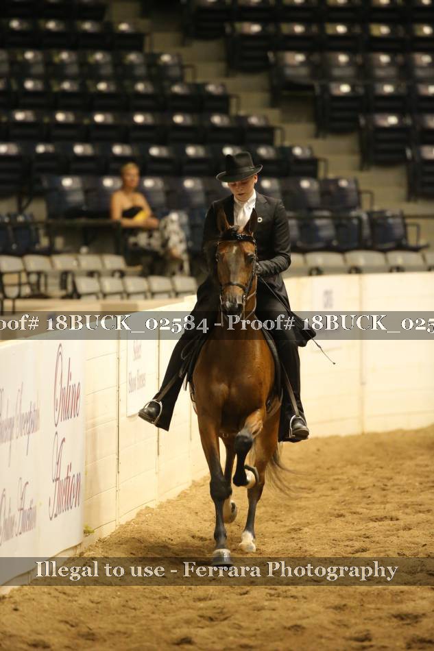 Proof 18BUCK_02584