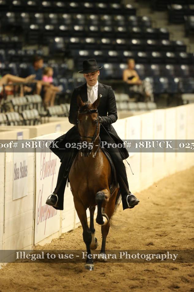 Proof 18BUCK_02585