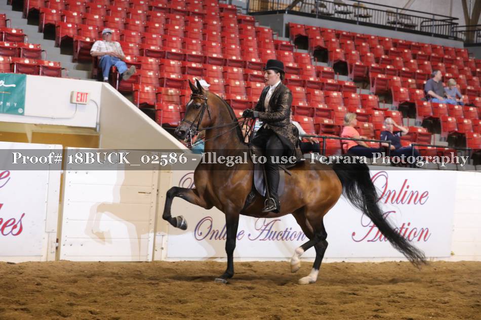 Proof 18BUCK_02586