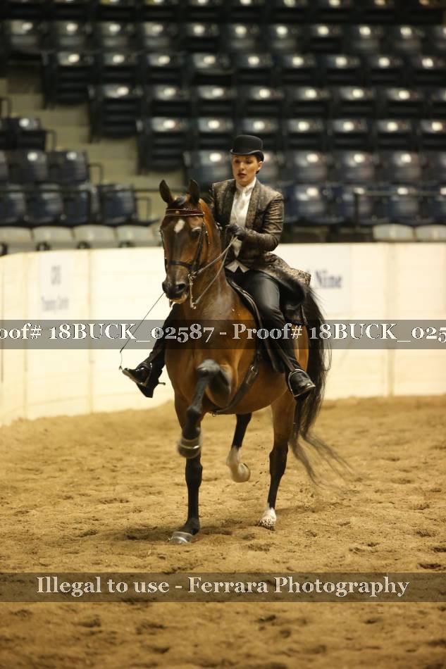 Proof 18BUCK_02587