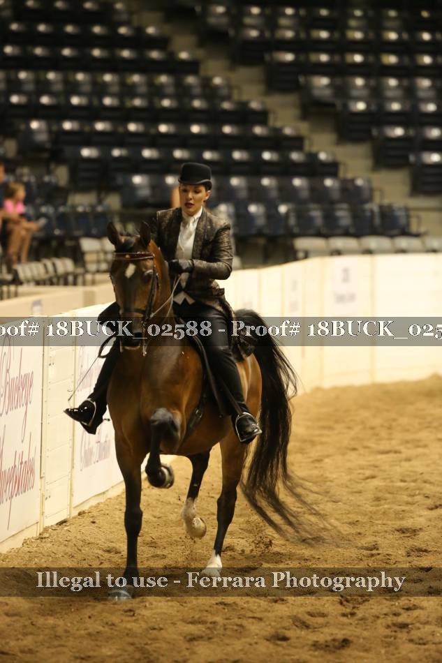 Proof 18BUCK_02588