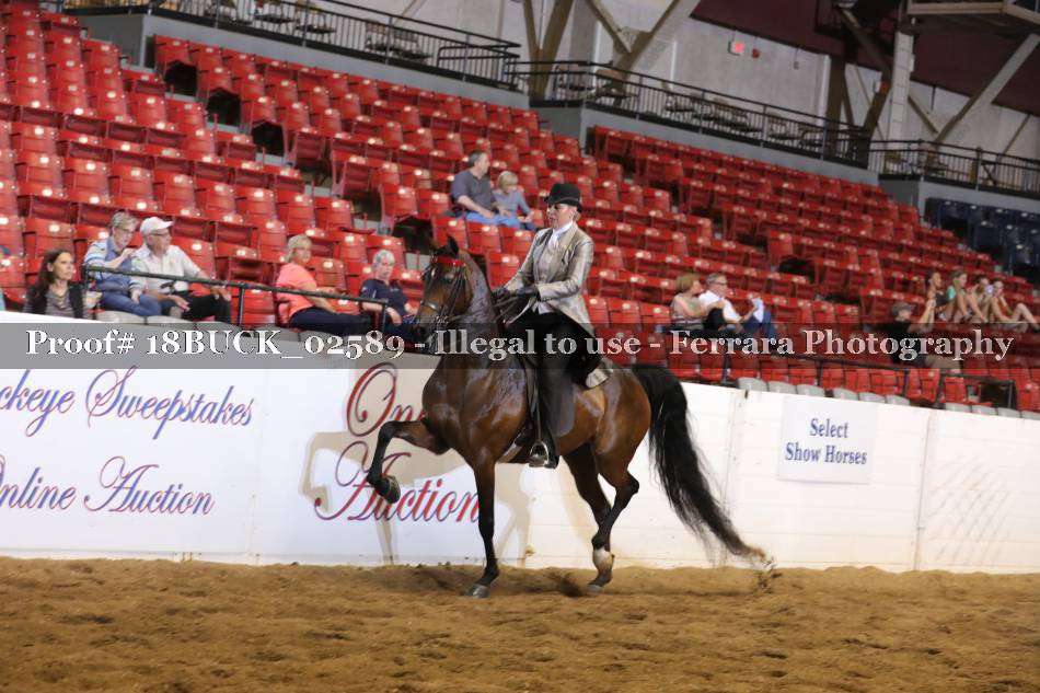 Proof 18BUCK_02589