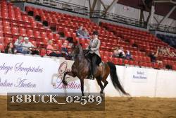 18BUCK_02589 proof