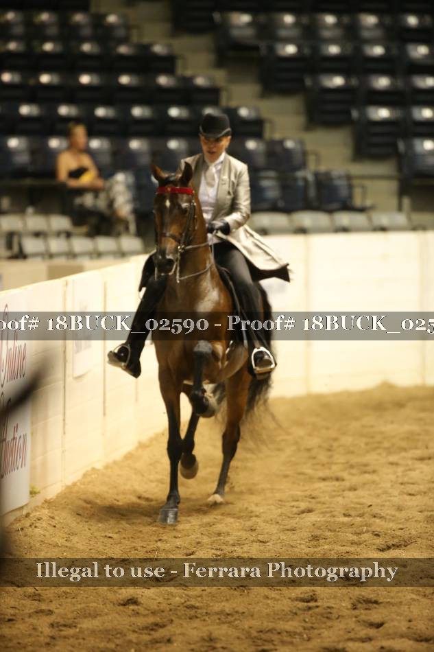 Proof 18BUCK_02590
